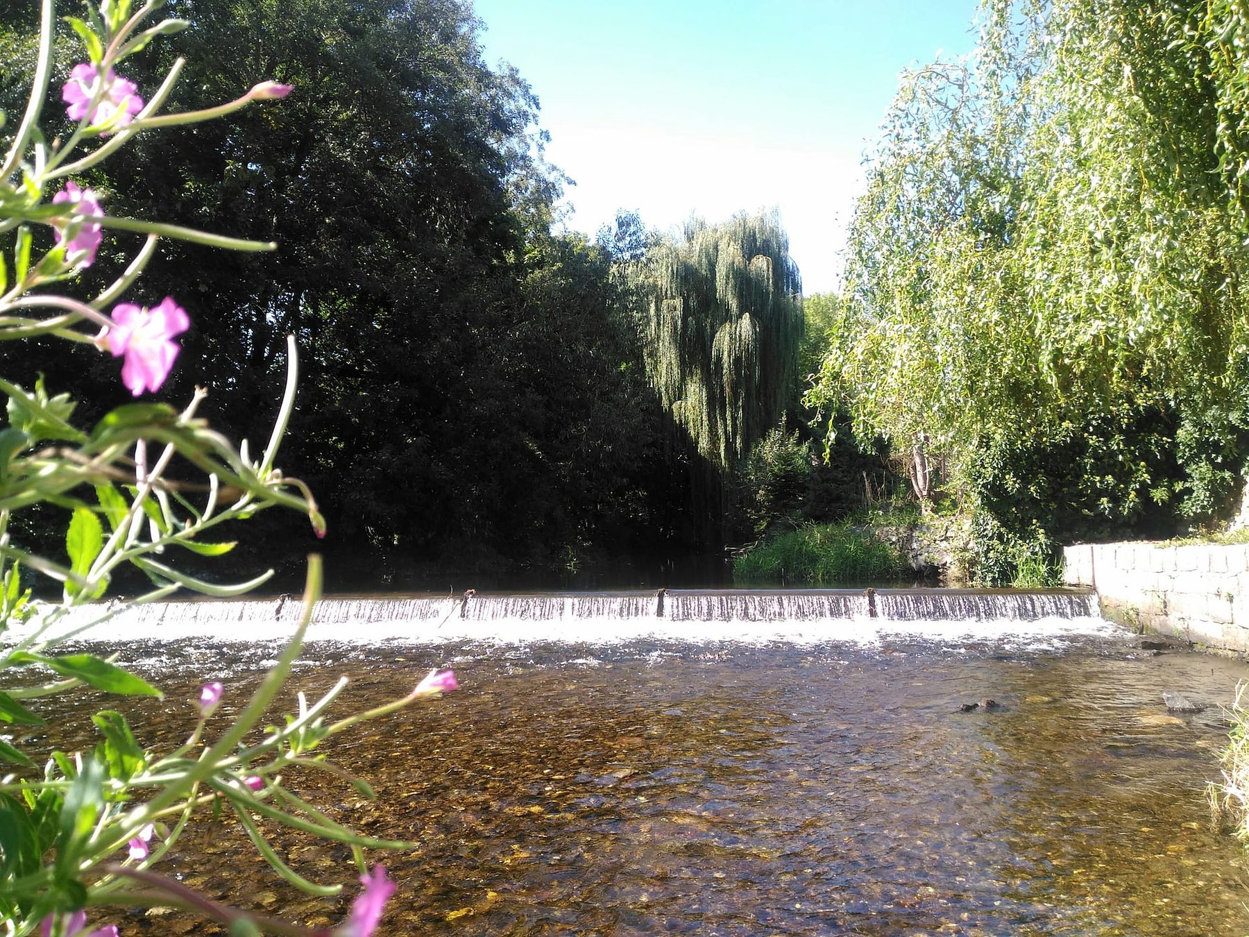 Řeka Otava s jezem a vrbami, pohled ze zahrady domu